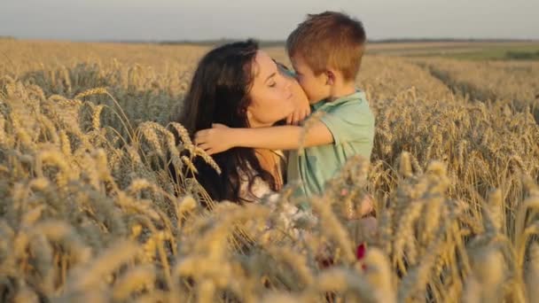 Sonen Kysser Sin Mor Vetefältet Begreppet Kärlek Och Ömhet Föräldraskapet — Stockvideo