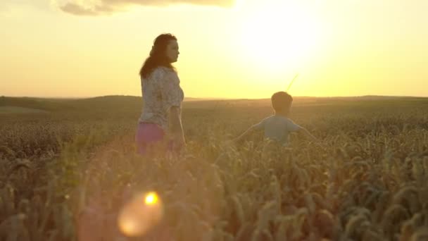 美しい愛情 小麦畑を通る母と息子の心温まる旅 高品質の4K映像 — ストック動画