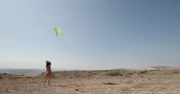 Radiant Child Running Beautiful Kite Expansive Countryside Capturing Essence Pure — Vídeos de Stock