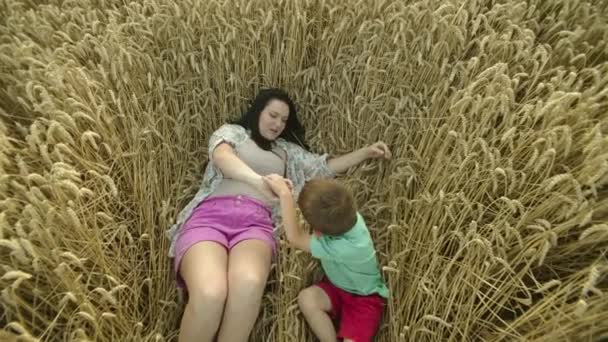 Momentos Nutritivos Wheatland Madre Hijo Encuentran Alegría Afecto Medio Los — Vídeos de Stock