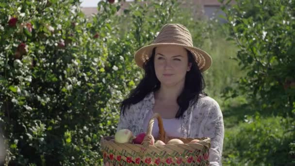Colheita Abundância Horticultor Feminino Habilitado Fazendeiro Colheita Maçãs Orgânicas Pomar — Vídeo de Stock
