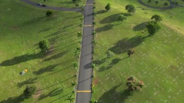 Birleşik Devletler 'in Hawaii Adaları' nın havadan görünüşü. Tropikal ormanlar arasında yolu olan güzel doğal manzara. Yüksek kalite 4k görüntü