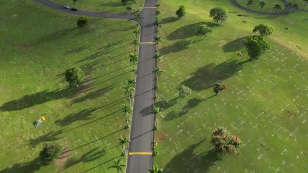アメリカ合衆国のハワイ諸島の空中観測 トロピカルフォレスト間の道路を持つ美しい自然景観 高品質の4K映像 — ストック動画