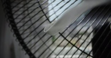 Klimalı Etkin Oda Soğutma: Evde Sıcak Yaz Savaşları. Yüksek kalite 4k görüntü