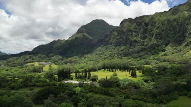Вид Повітря Гавайські Острови Сша Тропічні Ліси Біля Підніжжя Гір — стокове відео