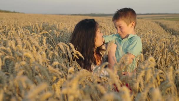 Mutlu Bir Anne Oğlu Buğday Tarlasında Birbirlerine Sarılıyorlar Ebeveyn Sevgisinin — Stok video