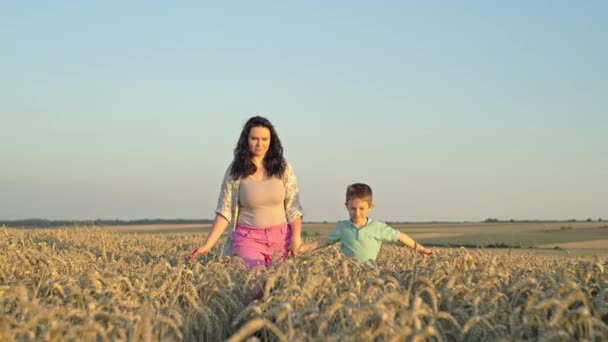 Мать Сын Гуляют Ферме Через Пшеничное Поле Работа Сельском Хозяйстве — стоковое видео