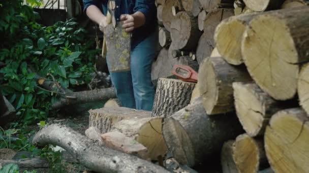 Erkek Ellerinde Bir Baltayla Bir Ağacı Kesmeye Yakın Çekim Çiftlikteki — Stok video