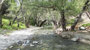 Kıbrıs 'ın doğasının havadan görünüşü. Taşların arasından güzel bir dağ nehri akıyor. Yüksek kalite 4k görüntü