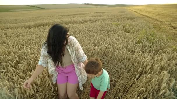 快乐的母亲和儿子正在田里吃小麦 父母的爱 父母和孩子在一起的时间 高质量的4K镜头 — 图库视频影像