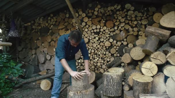 男は石にログを入れ 斧でそれをチョップする 少年は農場で働き 暖炉のために薪を集めている 高品質の4K映像 — ストック動画