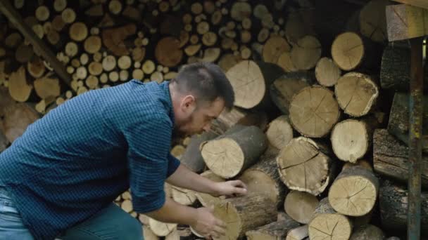 Avrupalı Bir Adam Yakacak Odun Topluyor Oğlan Çalışır Kütükleri Üst — Stok video