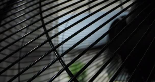 Air Conditioner Blowing Verfrissende Breeze Het Verslaan Van Hitte Met — Stockvideo