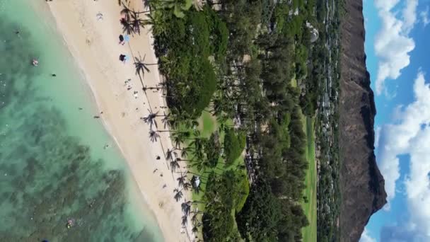 Playas Aéreas Hawái Bosques Tropicales Las Montañas Playas Arena Con — Vídeos de Stock
