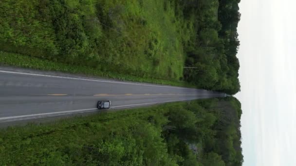 Luchtfoto Van Weg Waarlangs Auto Het Bos Rijdt Reizen Toerisme — Stockvideo