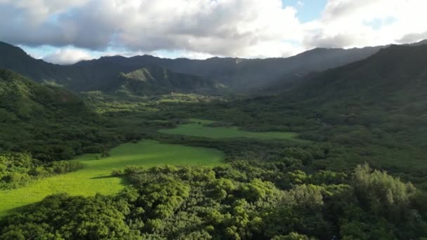 Widok Lotu Ptaka Wyspy Hawajskie Stanów Zjednoczonych Piękny Naturalny Krajobraz — Wideo stockowe