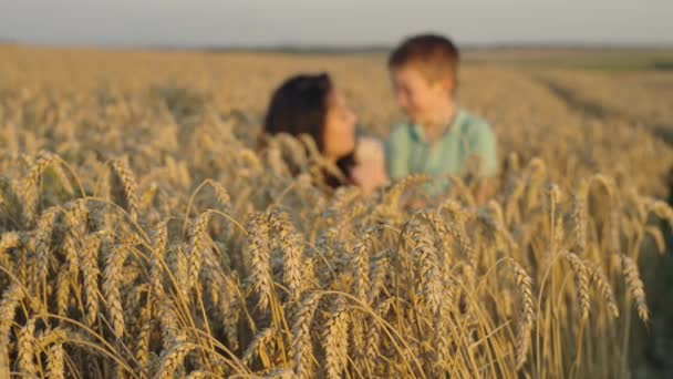 Воспитание Сельскохозяйственных Традиций Мать Сын Восхищаются Пшеничными Полями Семейной Ферме — стоковое видео