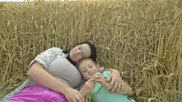 Obejmująca Miłość Polu Wheatfield Matka Dziecko Udostępnij Uśmiechy Pośród Ziaren — Wideo stockowe