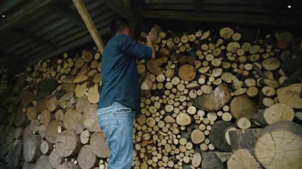 Timber Harvest Man Cutting Logs Winter Firewood Farm Hearth High — Stock Video