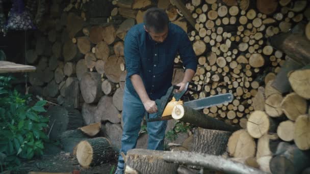 Adam Testereyle Odun Keserek Odun Topluyor Oduncu Çiftliğinde Zor Yüksek — Stok video