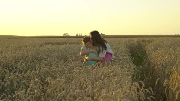 農業による家族債の強化 小麦農業分野における親子のパートナーシップへの限界 高品質の4K映像 — ストック動画