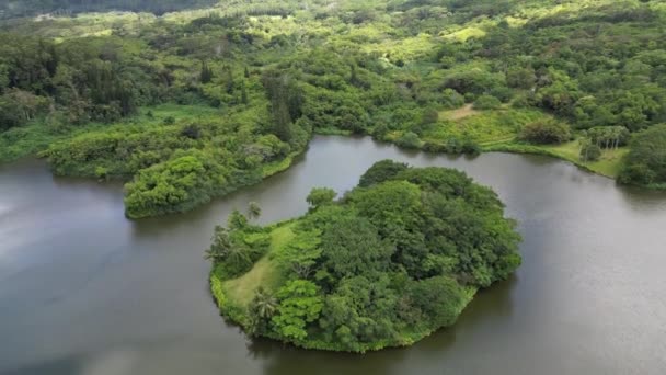 Horizons Aerial Glimpses Hawaiis Natural Wonders Towering Peaks Meandering Rivers — Vídeo de stock