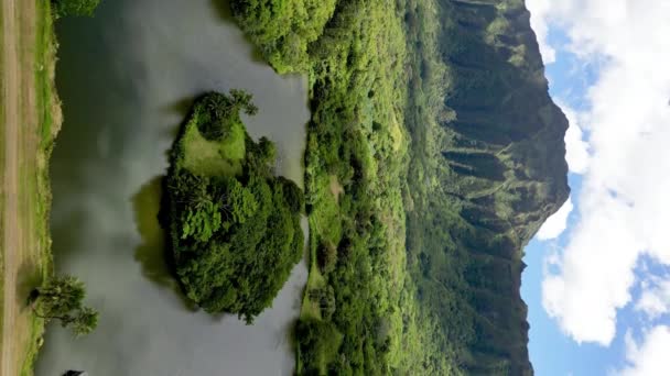 ทางอากาศของเกาะฮาวายท แปลกใหม ยอดเขาและป าเข ยวชอ ภาพ ณภาพส — วีดีโอสต็อก