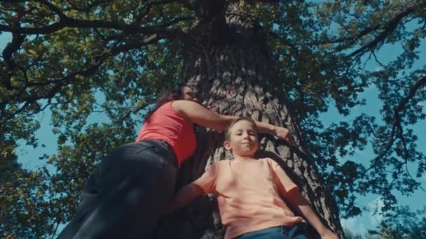 エコロジーと自然保護 植物や木への愛 母と息子は抱きしめ 森の中の木の樹皮に触れました 高品質の4K映像 — ストック動画