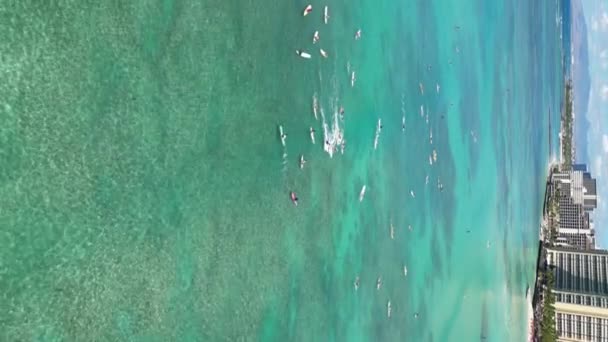 Flygutforskning Usas Kustpärlor Surfare Som Fångar Vågorna Exotiska Oceanens Havens — Stockvideo