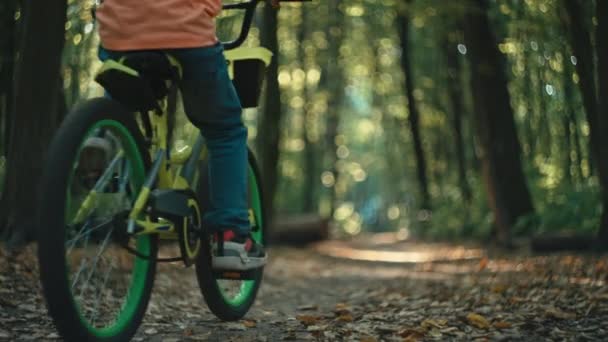 一个男孩在公园里骑自行车 一个孩子在森林里骑自行车 大自然中的积极游戏 高质量的4K镜头 — 图库视频影像