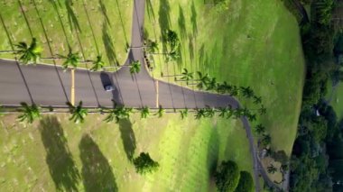 Hawaii, ABD 'nin güzel doğasının havadan görünüşü. Adanın doğasında dağlar ve palmiye ağaçları olan güzel bir yol. Seyahat ve araba konsepti. Yüksek kalite 4k görüntü