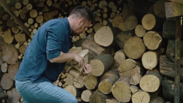 男が薪を積んでいる 農場の暖炉のための薪を収穫する 高品質の4K映像 — ストック動画