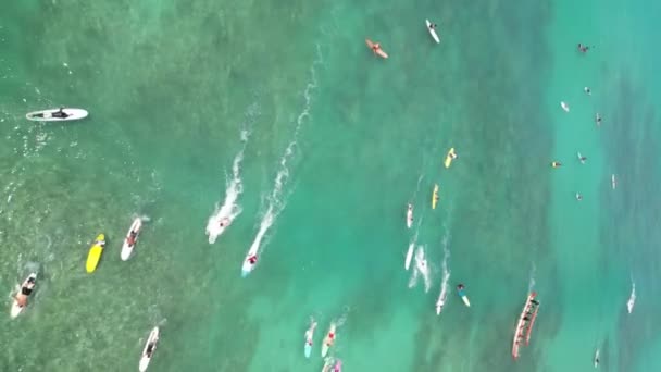 Surfing Usa Aerial Vistas Coastal Bliss Pacific Shores Imágenes Alta — Vídeos de Stock