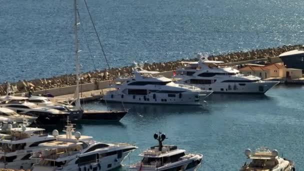 Vista Aérea Del Puerto Deportivo Limassol Chipre Yates Barcos Muelle — Vídeos de Stock