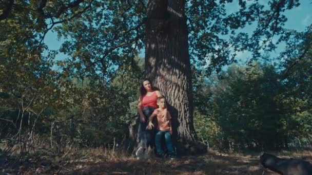 自然の保護と愛の概念 母と息子は木を抱きしめる 森の中を散歩している子供がいる女性 高品質の4K映像 — ストック動画