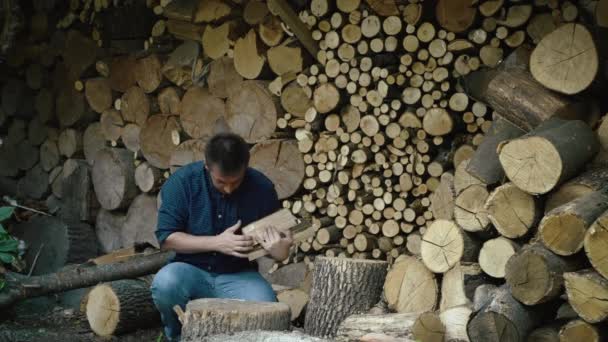 Чоловік Накладає Подрібнені Дрова Ферму Збираємо Деревину Зиму Каміна Високоякісні — стокове відео