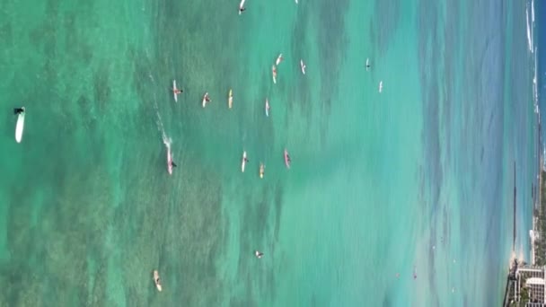 Usa Sörf Zevkleri Pasifik Teki Egzotik Cennet Hava Panoramaları Yüksek — Stok video