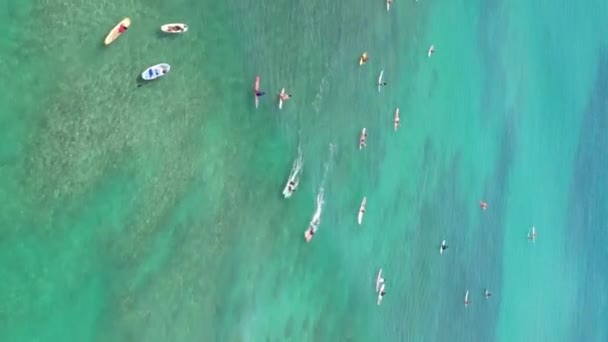 Surfing Adventures Usa Fågelperspektiv Serene Oceanfront Paradises Högkvalitativ Film — Stockvideo