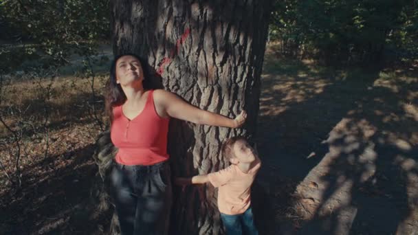 Мать Сын Обнимают Большое Старое Дерево Лесу Концепция Защиты Природы — стоковое видео