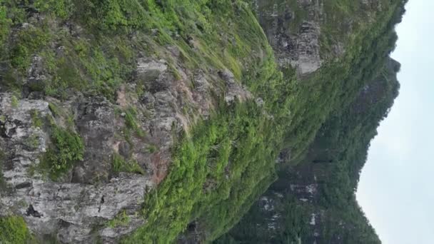 Zanurz Się Nature Grandeur Aerial Perspektywy Hawajów Egzotycznych Wysp Zalesionych — Wideo stockowe