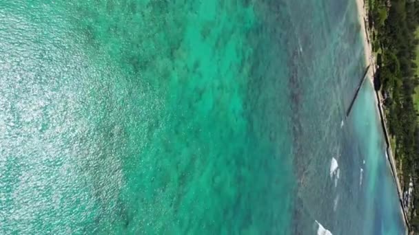 Tropiska Eden Från Ovan Flygexpedition Över Hawaiis Utsökta Kustlinjer Sun — Stockvideo