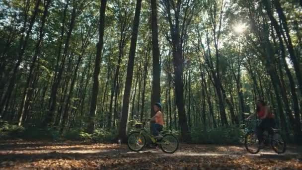 소중한 모멘트 어머니의 자연의 세레니티에서 자전거 고품질 — 비디오
