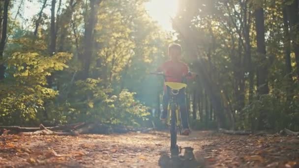 Abraçando Alegrias Natureza Criança Ativa Explora Floresta Bicicleta Criando Memórias — Vídeo de Stock