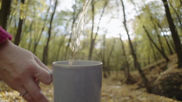 Zbliżenie Nalewania Herbaty Filiżanki Zwolnionym Tempie Jesiennym Parku Ciepły Napój — Wideo stockowe