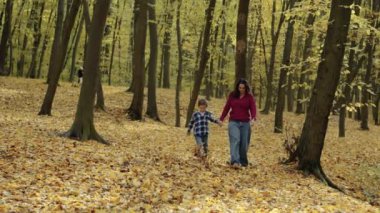 Neşeli anne ve oğlu birlikte eğleniyor, canlı sarı yapraklar arasında koşu yapıyorlar. Yüksek kalite 4k görüntü