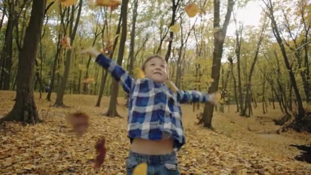가을의 태피스트리 자연에서 나뭇잎을 반짝이는 어린이 놀라운 고품질 — 비디오