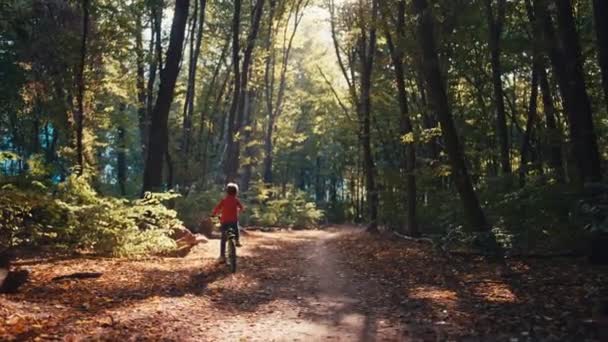 笑いとアドベンチャーの交響曲 自然の緑の森を通るボーイズウィミジカルバイクライド 高品質の4K映像 — ストック動画