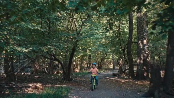 시절의 장치에있는 소년은 자전거에 공원을 탐험합니다 고품질 — 비디오