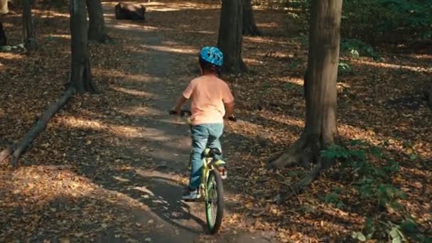 一个男孩骑在公园里时从自行车上摔下来 积极娱乐的危险是戴着防护头盔的儿童 高质量的4K镜头 — 图库视频影像