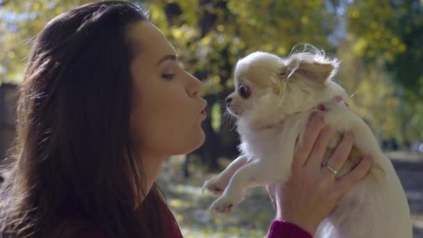 秋の公園で犬と遊んでいる女性 ペットと一緒に歩く 動物への愛 黄色い葉の季節 高品質の4K映像 — ストック動画